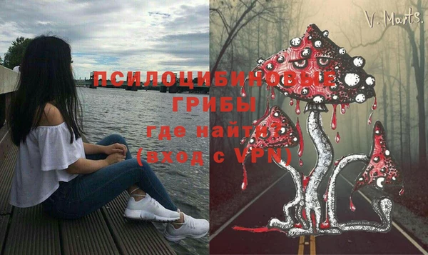 СК Абаза