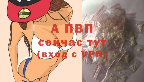СК Абаза