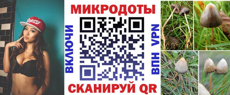 купить наркотик Десногорск Галлюциногенные грибы Psilocybine cubensis
